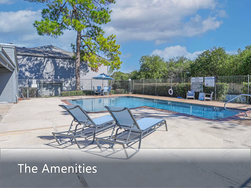 Features & Amenities